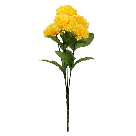 Yellow Carnation Bush by Ashland&#xAE;